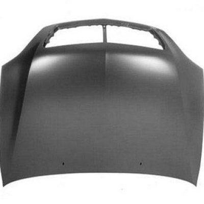 LX1230101 Body Panel Hood