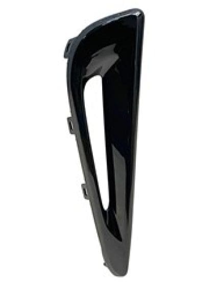 TO1039261 Passenger Side Molding