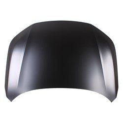 HO1230195C Hood Panel