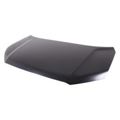 HO1230197C Hood Panel