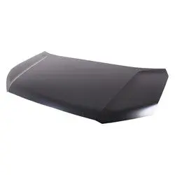 HO1230197C Hood Panel