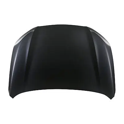 HO1230198C Hood Panel