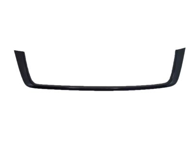 HO1216120 Front Lower Grille Molding