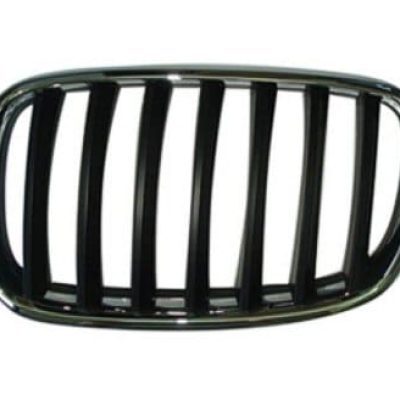 BM1200180 Grille Main