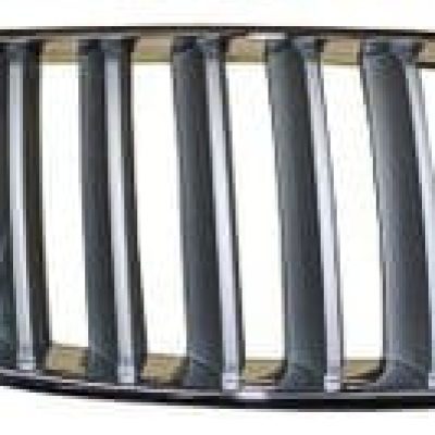 BM1200225 Grille Main