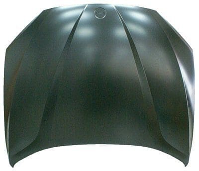 BM1230137 Body Panel Hood